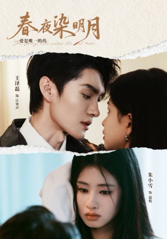春夜染明月封面图