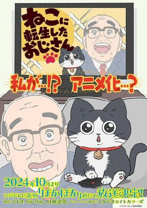 转生成猫的大叔封面图