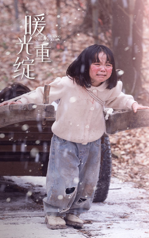 暖光重绽封面图