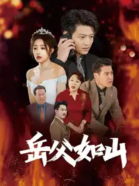 岳父的礼物封面图