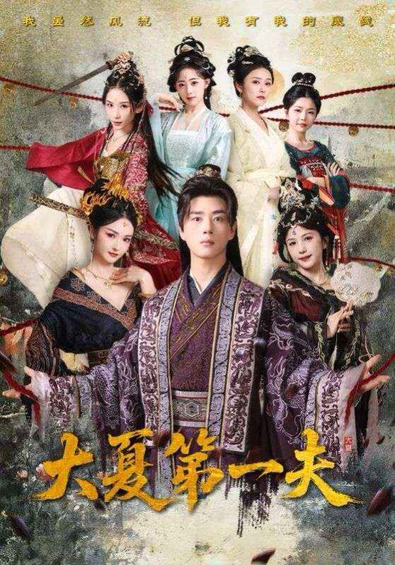 大夏第一夫封面图