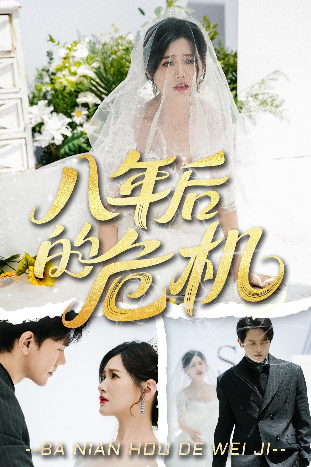 八年后的危机封面图