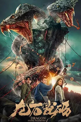 龙石密码[电影解说]封面图