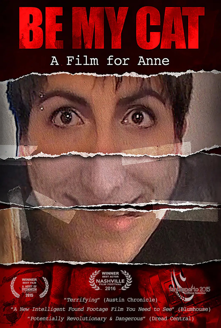 献给安妮的电影封面图