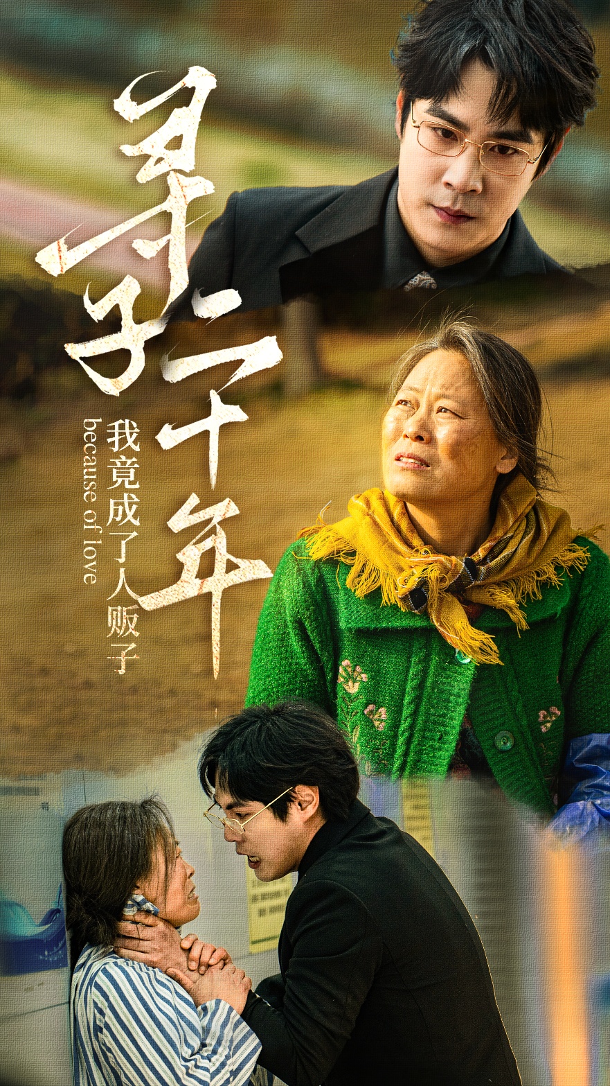 寻子二十年我竟成了人贩子封面图