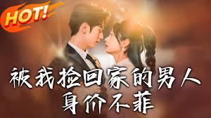 被我捡回家的男人身价不菲封面图