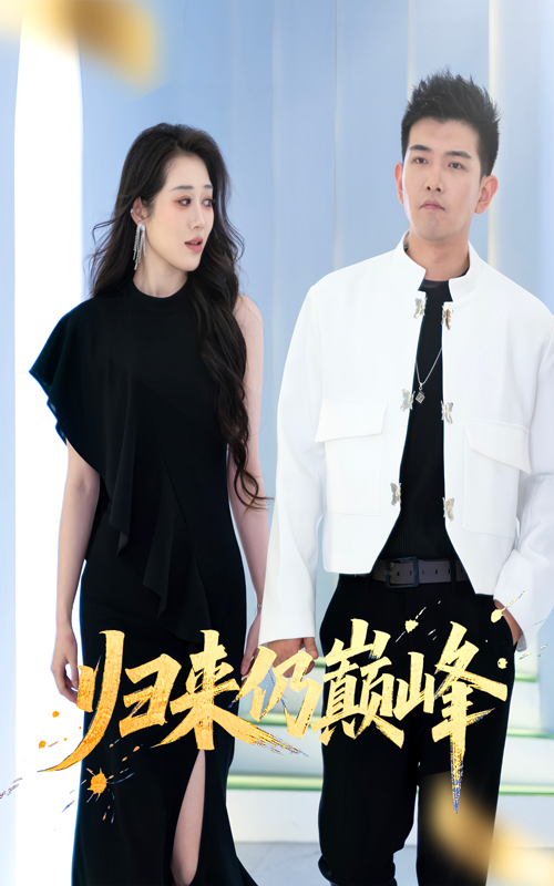 归来仍巅峰封面图