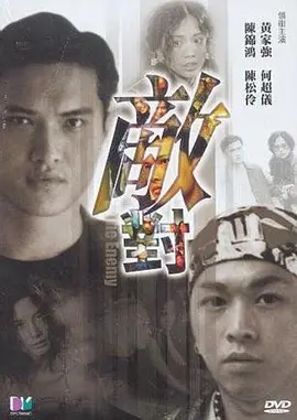 敌对2001封面图