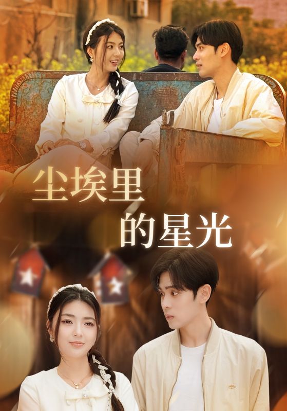 尘埃里的星光封面图