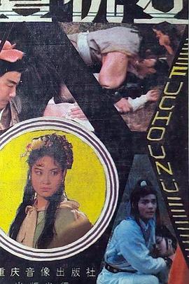 复仇女1998封面图