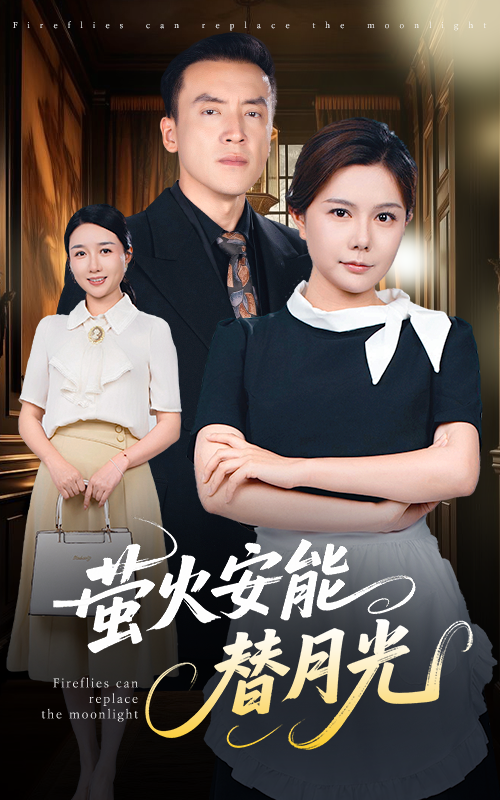 莹火安能替月光封面图