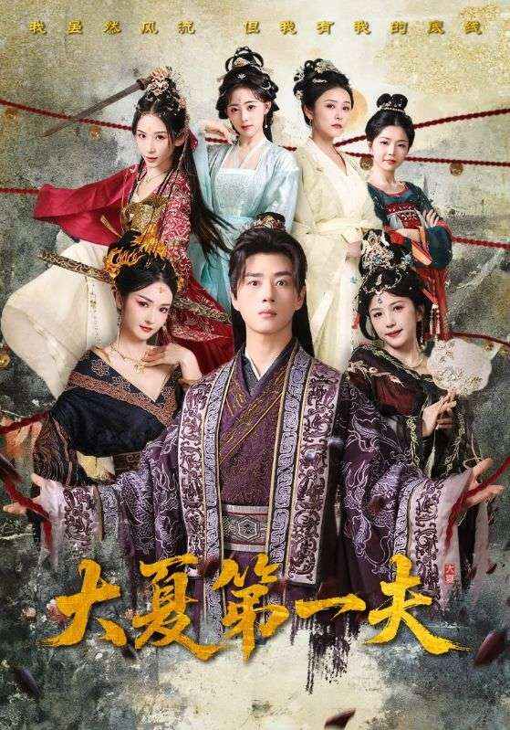 大夏第一夫封面图