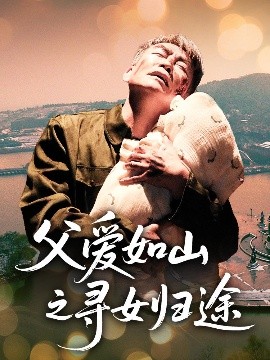 父爱如山之寻女归途封面图