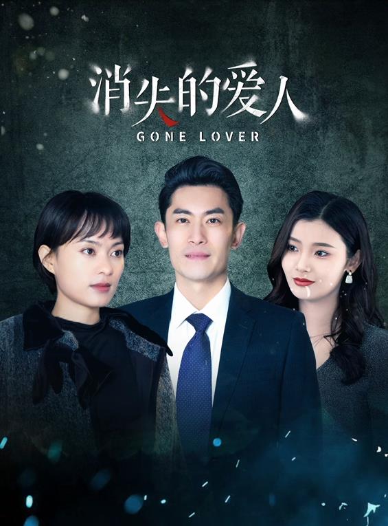 消失的爱人2025封面图