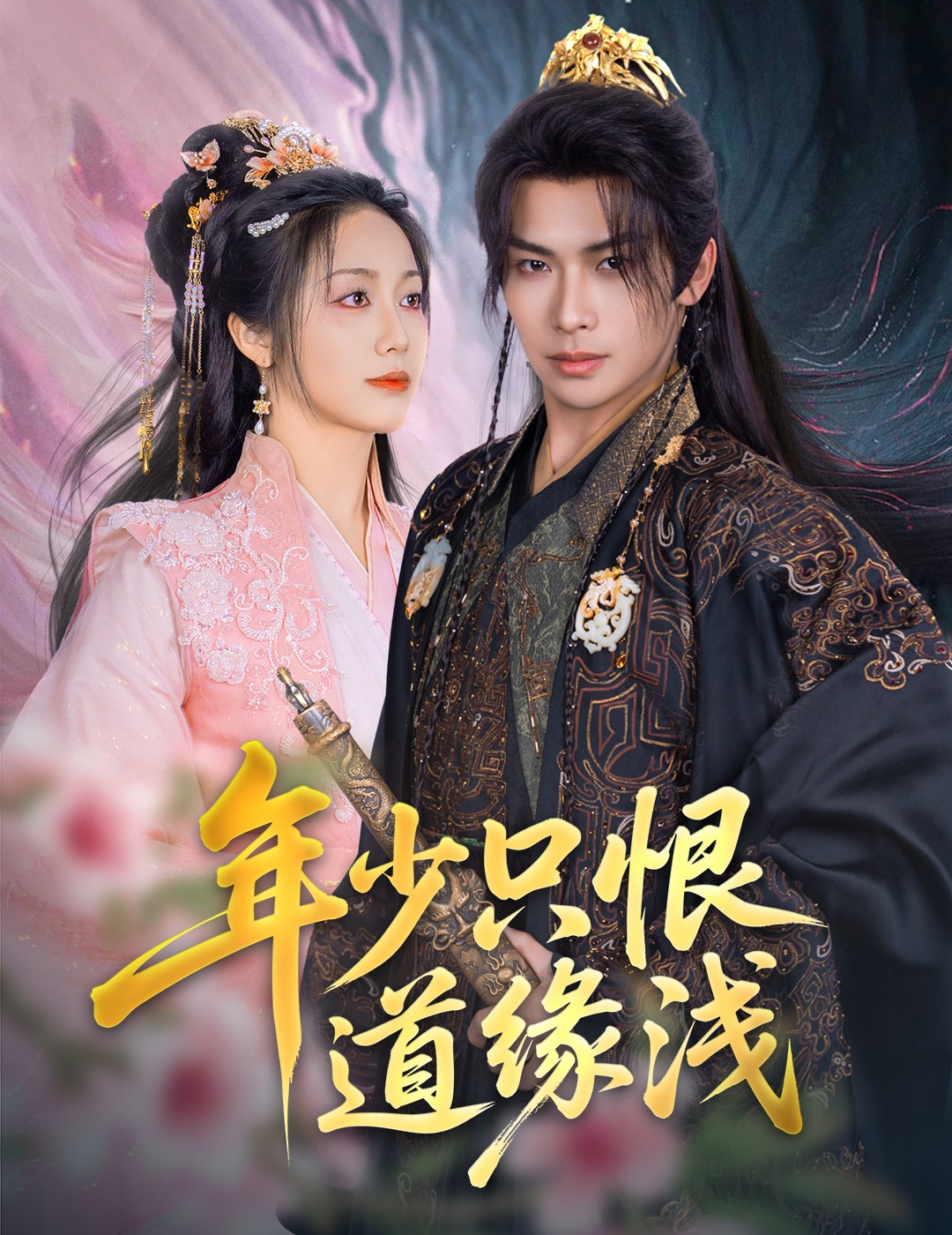 年少只恨道缘浅封面图