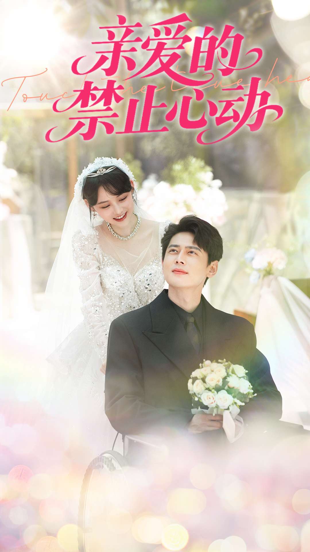 亲爱的禁止心动封面图