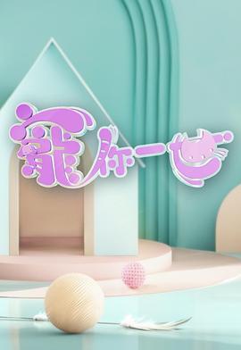 宠你一世封面图