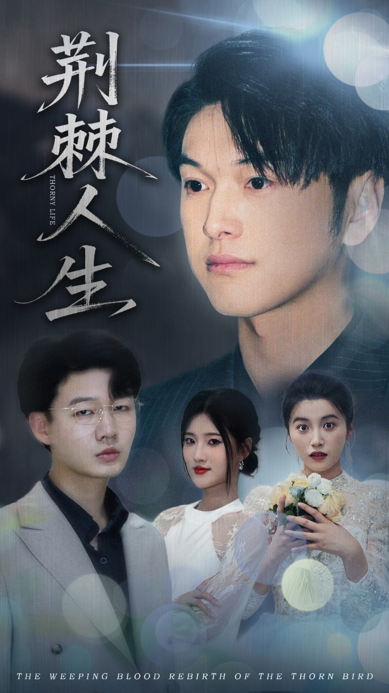 荆棘人生封面图