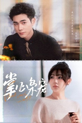 掌心枭宠封面图