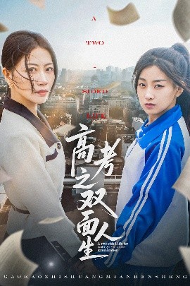 高考之双面人生封面图