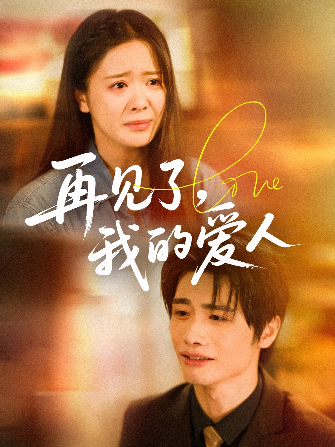 再见了我的爱人封面图