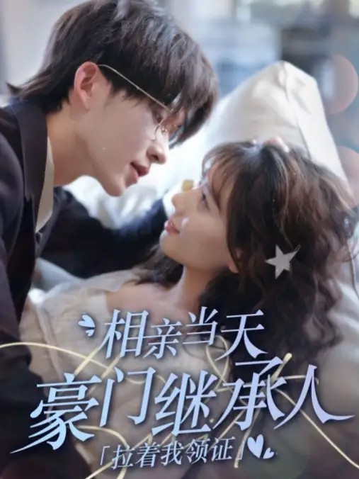 相亲当天豪门继承人拉着我领证封面图