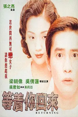 等着你回来1994封面图