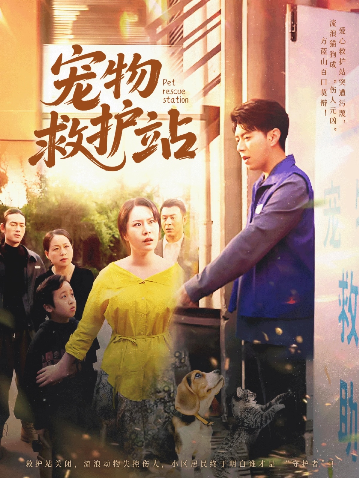 宠物救护站封面图