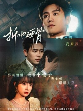 折他硬骨封面图