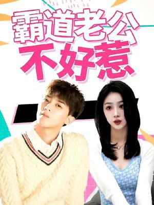 霸道老公不好惹封面图