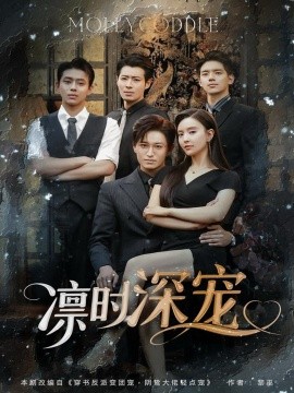 凛时深宠封面图