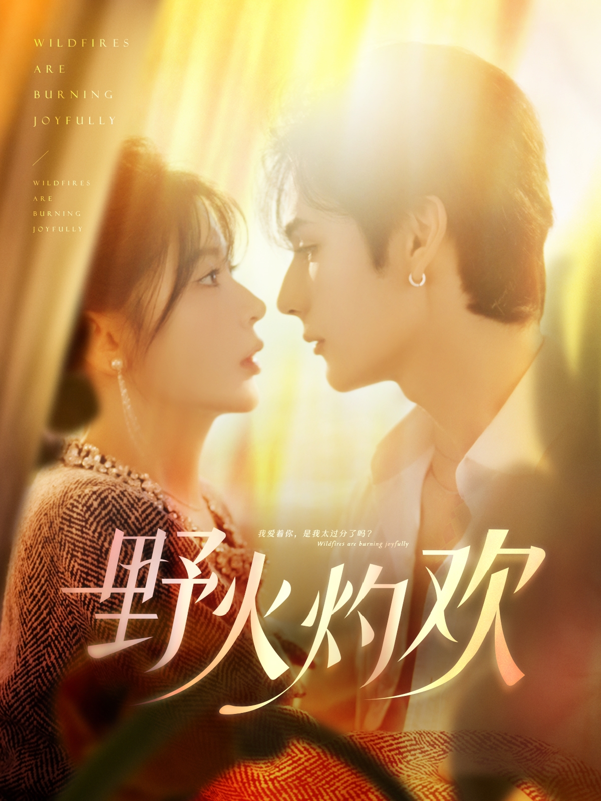 野火灼欢封面图