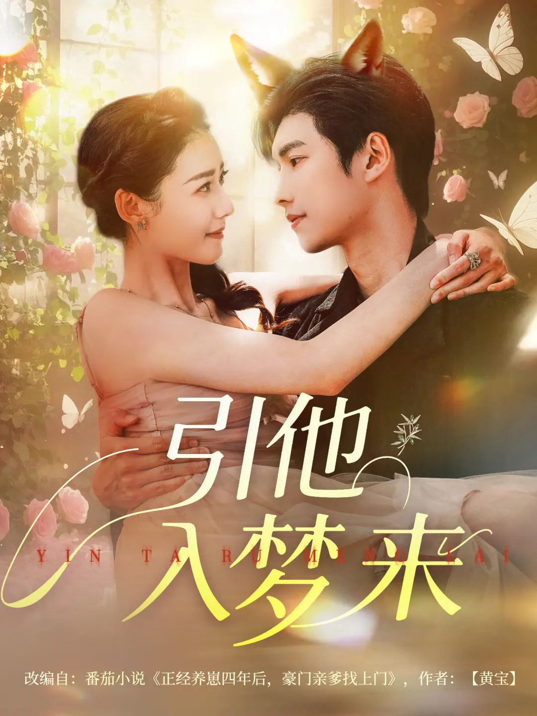 引他入梦来封面图