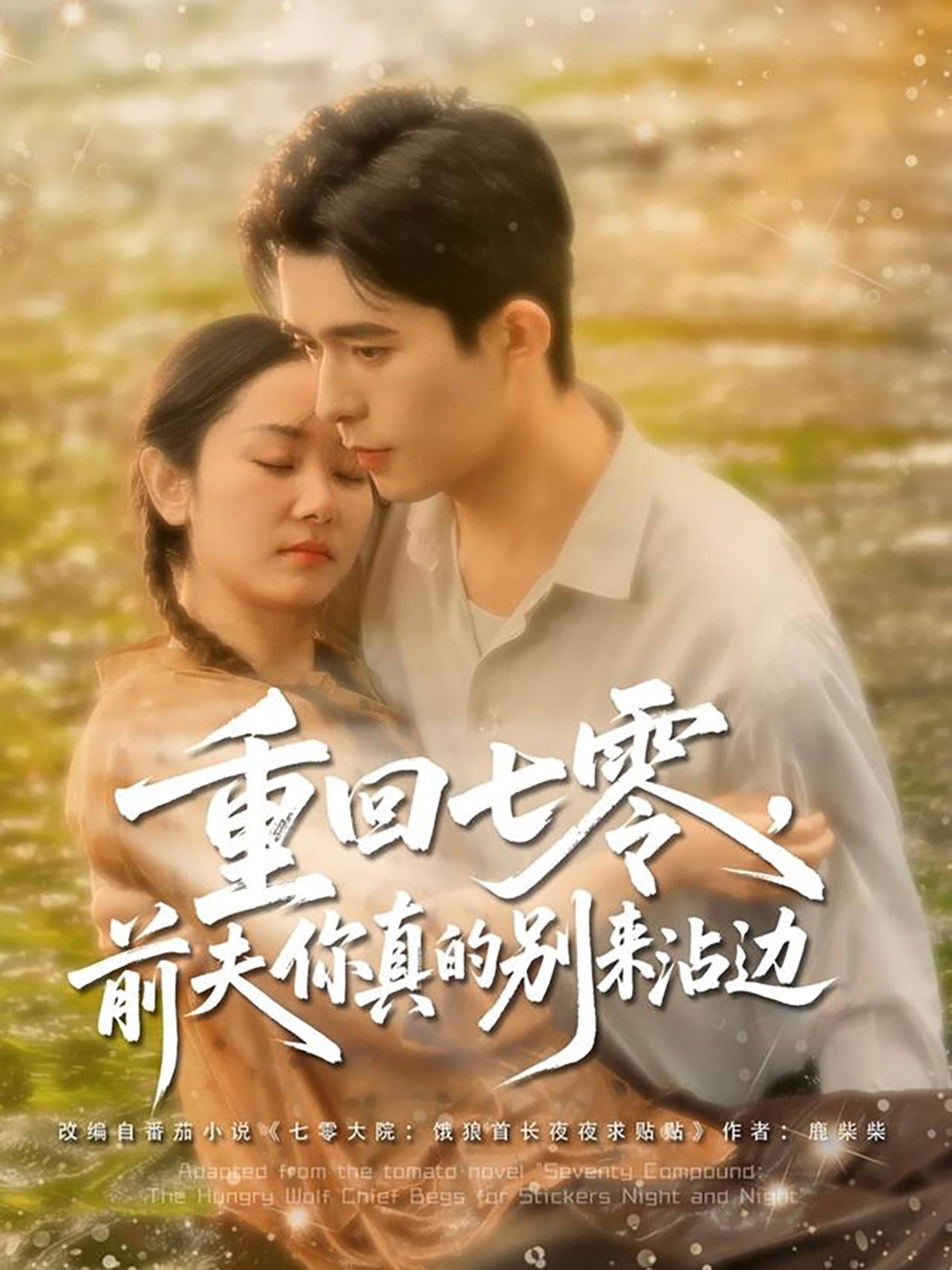 重回七零前夫你真的别来沾边封面图