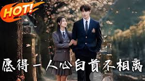 愿得一人心白首不相离封面图