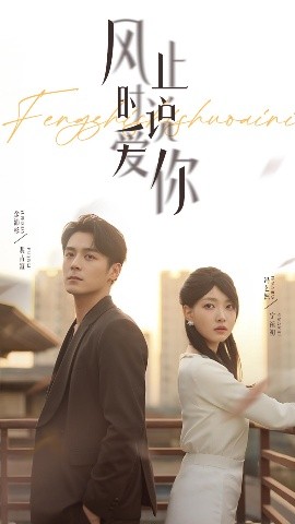 风止时说爱你封面图