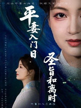 平妻入门日圣旨和离时封面图