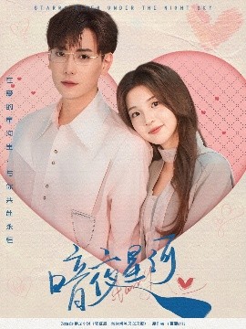 暗夜星河封面图