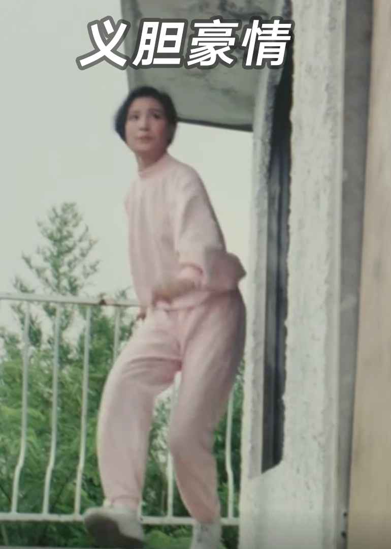 义胆豪情封面图