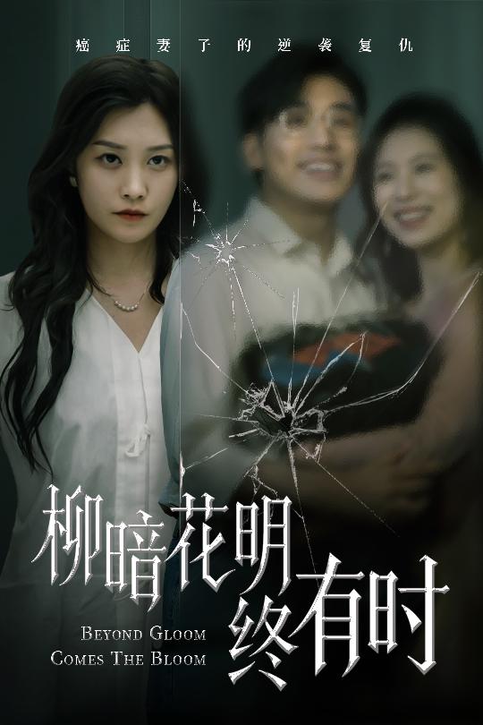 柳暗花明终有时封面图