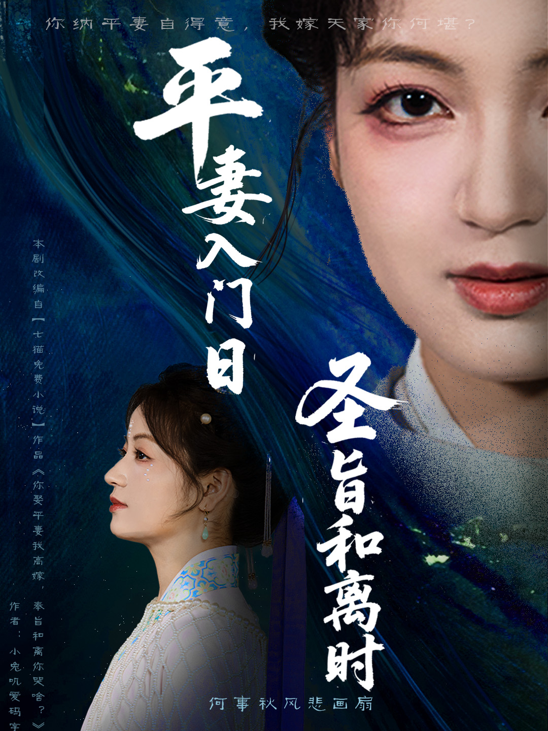 平妻入门日圣旨和离时封面图