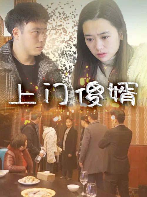 上门傻婿封面图