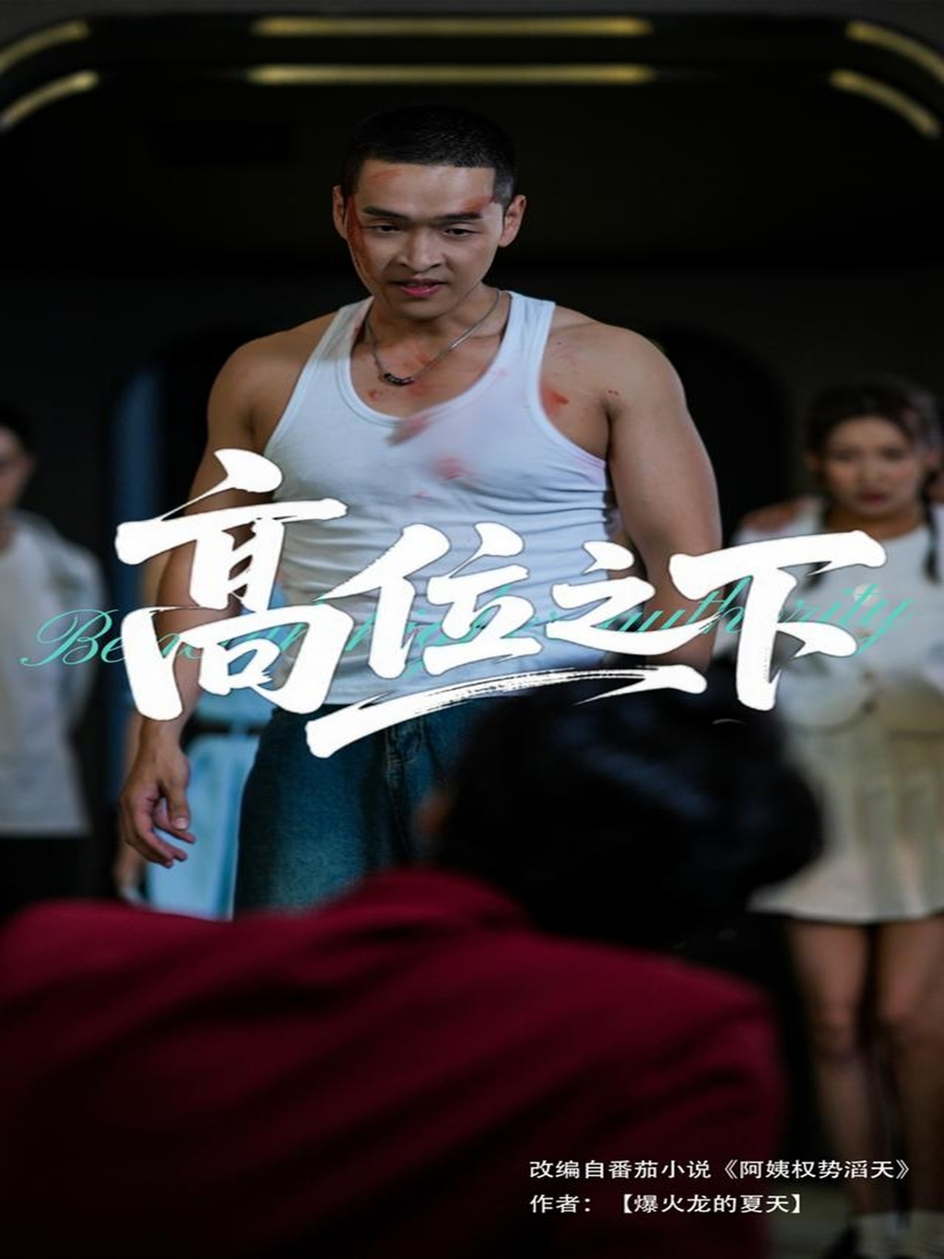 高位之下封面图