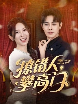 撩错人攀高门封面图