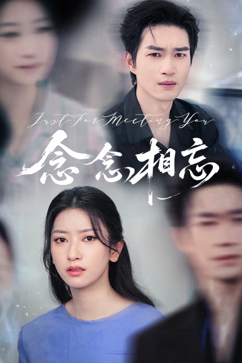 念念相忘封面图