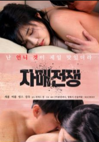 姊妹战争封面图