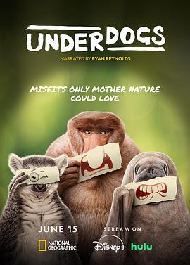 废柴英雄 Underdogs封面图