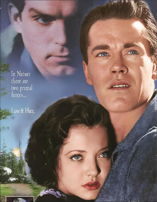 孤松林径封面图