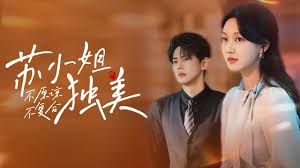 不原谅不复合苏小姐独美封面图