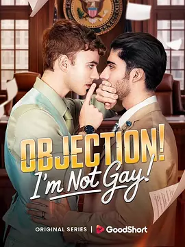 反对！我不是GAY封面图